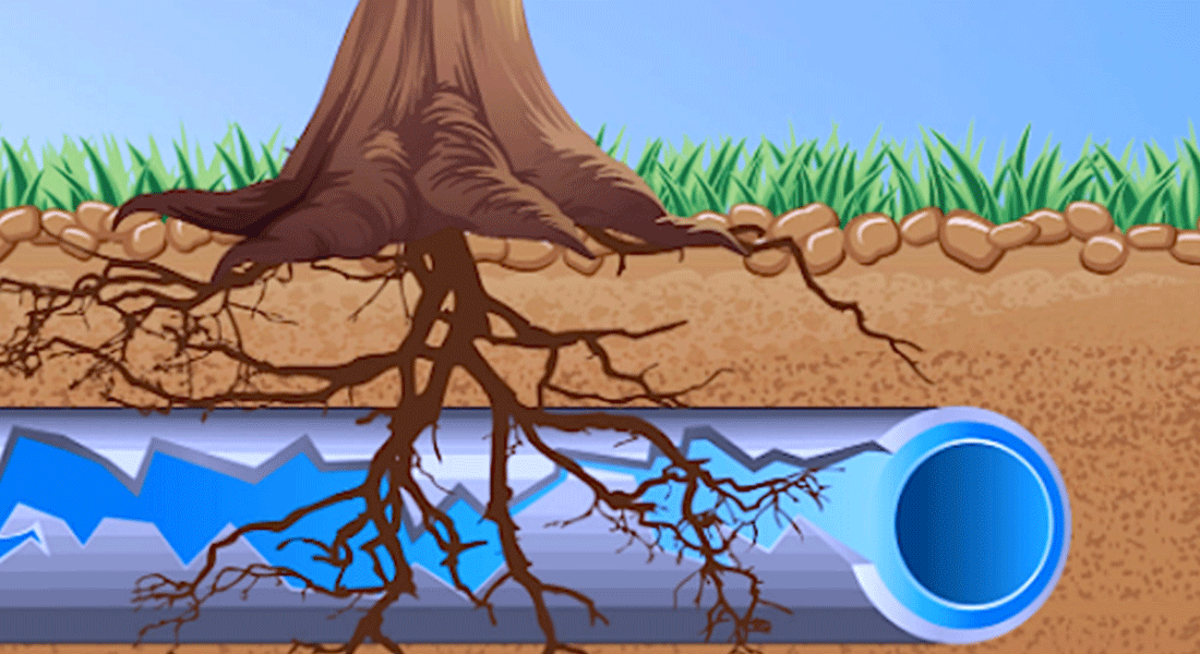 10 Things Homeowners Wish They Had Known Earlier