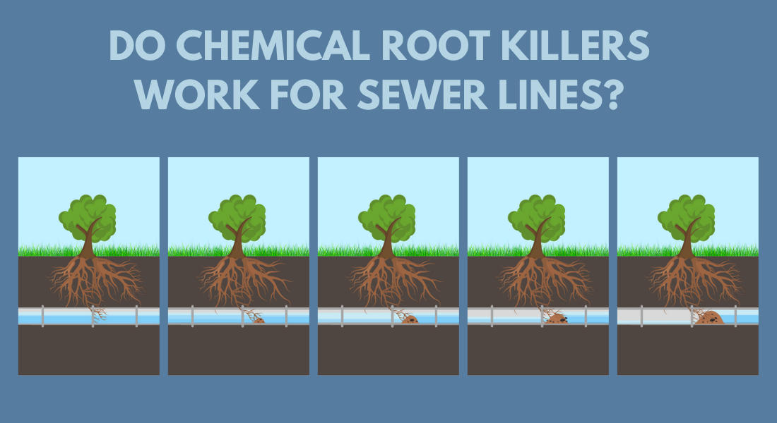 Do Chemical Root Killers Work for Sewer Lines?
