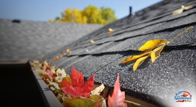 Fall Home Prep: 9 Ways To Prepare For Frost