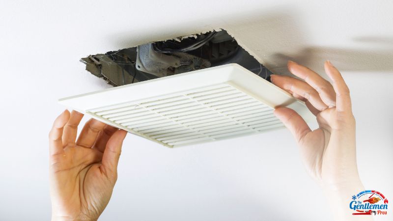 Bathroom Fan
