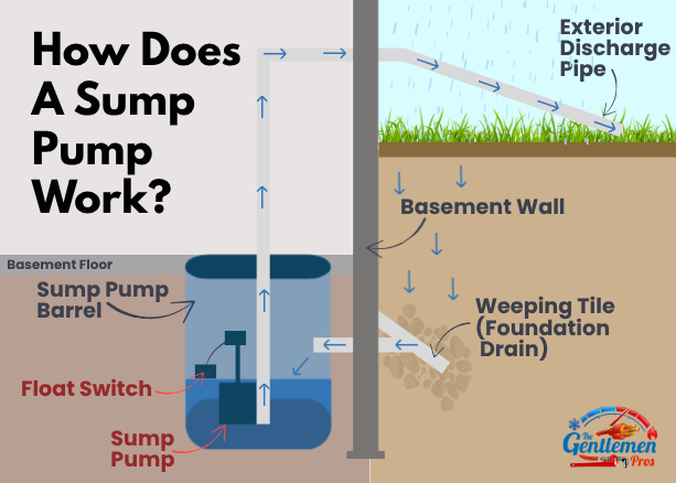 Components of a sump pump