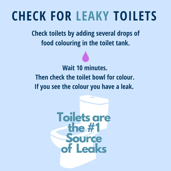 Leaky-Toilet-Test-Calgary