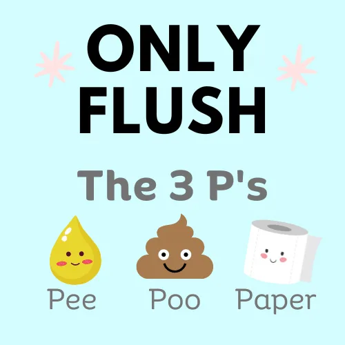 Only-Flush-3P's-Edmonton
