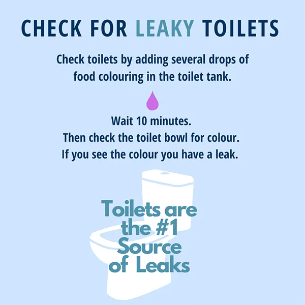 RedDeer-Toilet-Leak-Detection