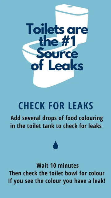 Toilet-leaks-Edmonton
