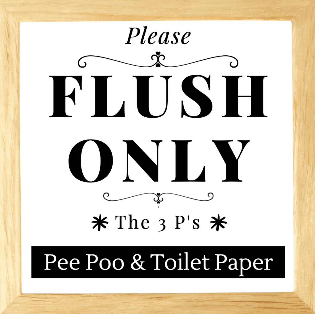 Flush Only 3 Ps