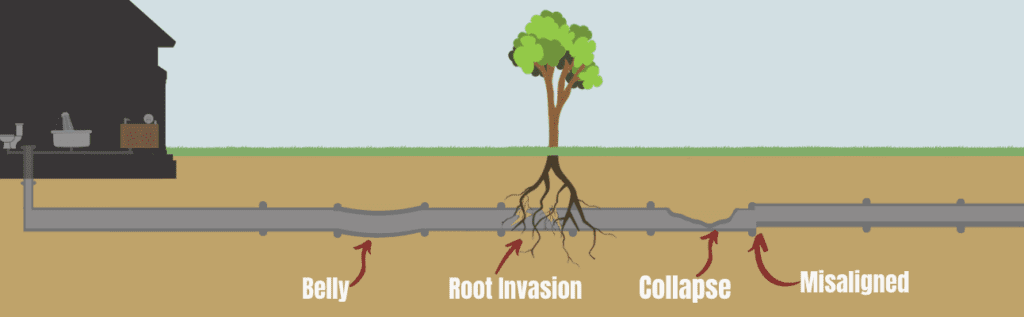 root invasion