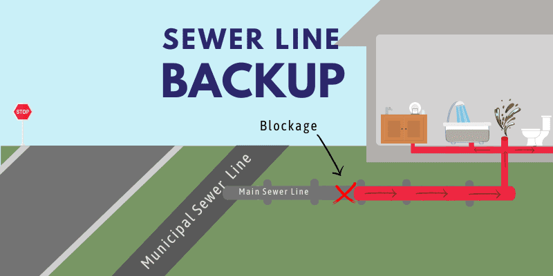 sewer line back ups