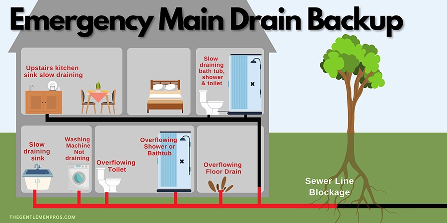 Calgary Sewer Line Backup Drain Cleaning