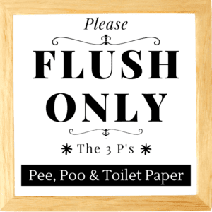 Please Flush Only Pee, Poo & Toilet Paper (The Three P's)