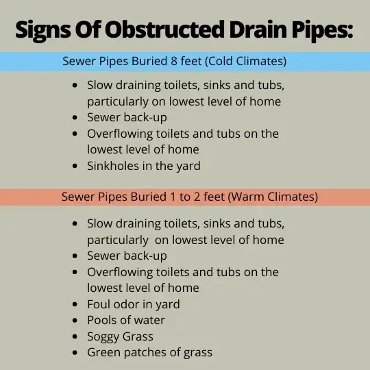 Signs of a Roots Invading Your Sewer Line