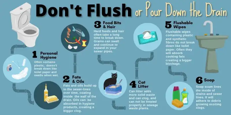 Don't Flush Or POur Down the Drain Infographic